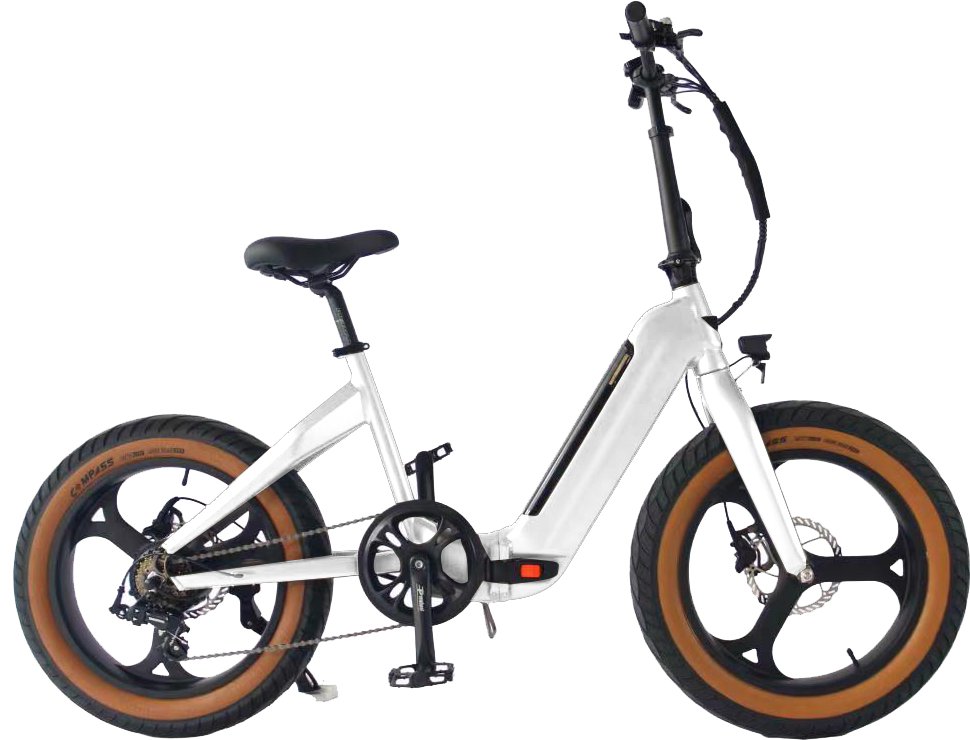 Electric bicycles e-bikes bulk order supplier